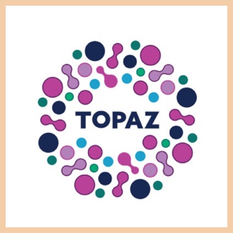 Topaz logo